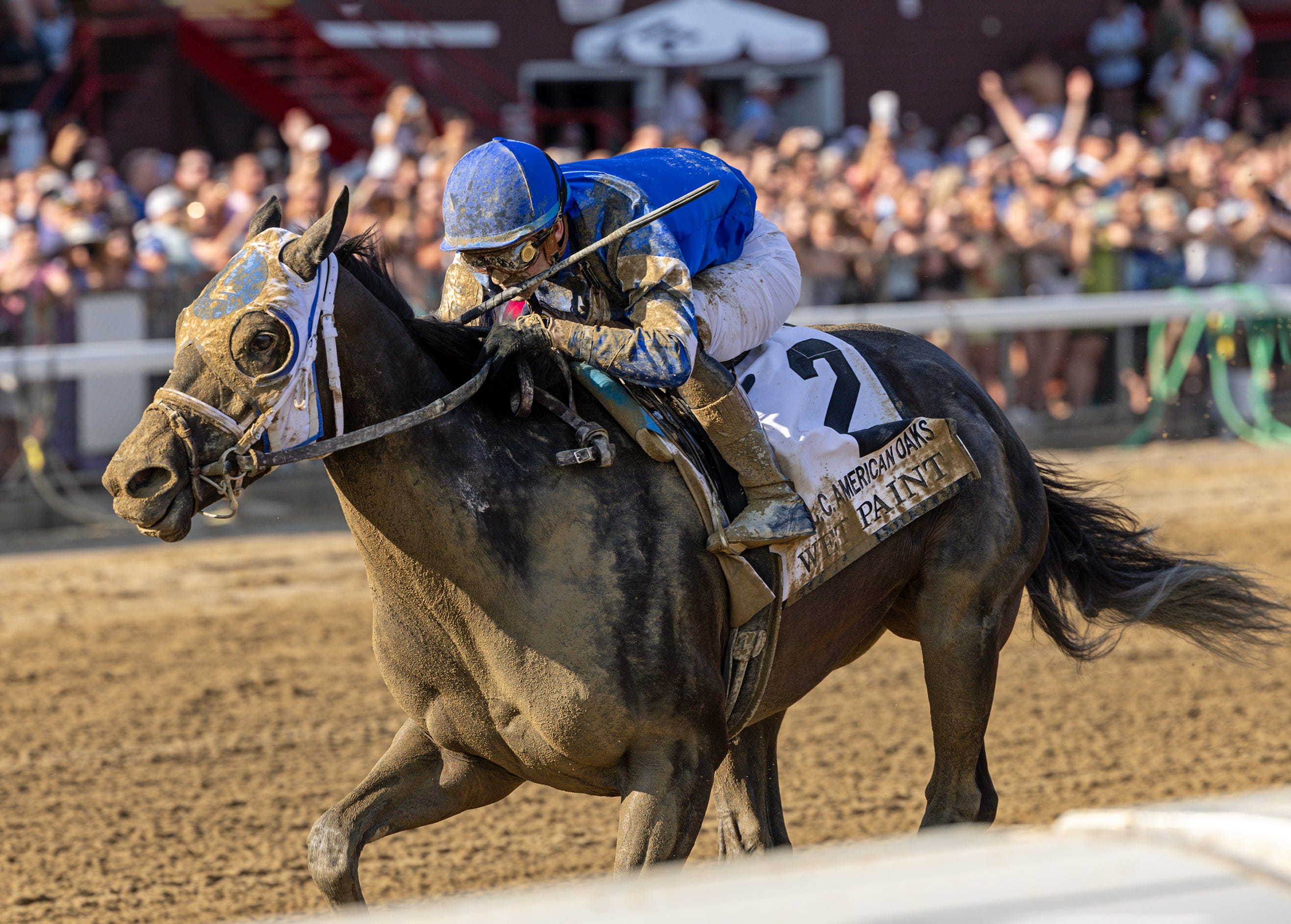 Wet Paint targets Alabama Stakes after taking Coaching Club American Oaks